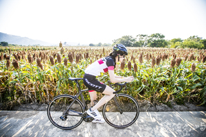 藝起尋風 遊樂金沙 單車穿越高粱田 微醺穿越沙尾八卦老街