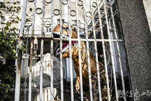 2021金門迎城隍廟會暖身場