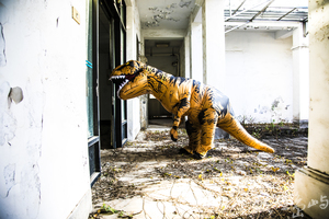 2021金門迎城隍廟會暖身場