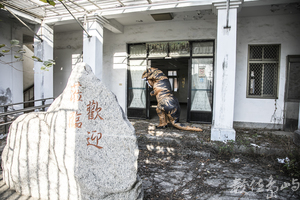 2021金門迎城隍廟會暖身場