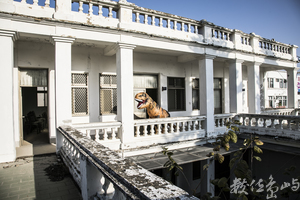 2021金門迎城隍廟會暖身場