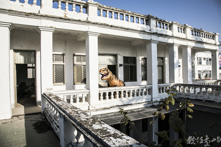 2021金門迎城隍廟會暖身場