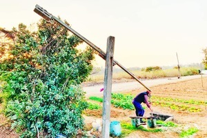 遇見浯島最在地取水澆灌溉模式