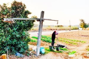 遇見浯島最在地取水澆灌溉模式