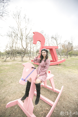 金門林務所女網紅男鮮肉打卡心熱點之歡樂搖滾搖搖馬