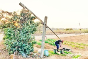 遇見浯島最在地取水澆灌溉模式