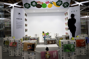 屏東超級南設計展1