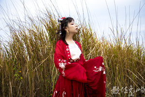 浯島申家班萬安夫人漢服外拍