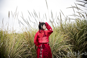 浯島申家班萬安夫人漢服外拍