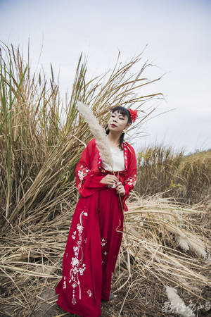 浯島申家班萬安夫人漢服外拍