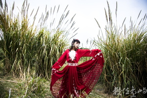 浯島申家班萬安夫人漢服外拍