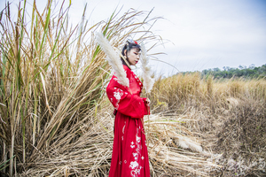 浯島申家班萬安夫人漢服外拍
