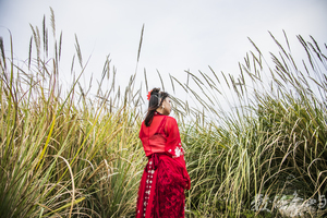 浯島申家班萬安夫人漢服外拍