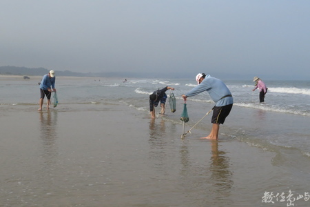 20160603浯島全民刮蛤運動拍拍（后湖海岸線）