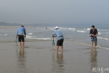 20160603浯島全民刮蛤運動拍拍（后湖海岸線）
