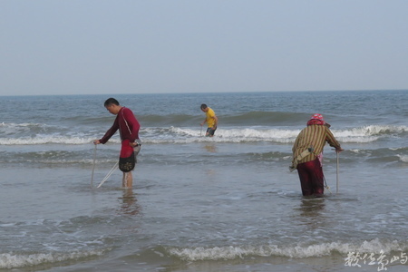 20160603浯島全民刮蛤運動拍拍（后湖海岸線）