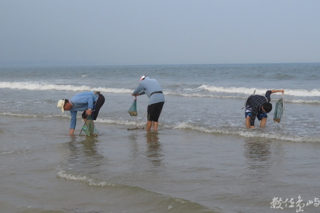 20160603浯島全民刮蛤運動拍拍（后湖海岸線）