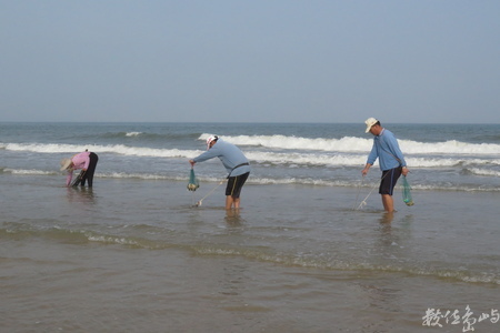 20160603浯島全民刮蛤運動拍拍（后湖海岸線）