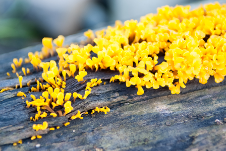 2010-10-16, 那瑪夏鄉八八災區探訪