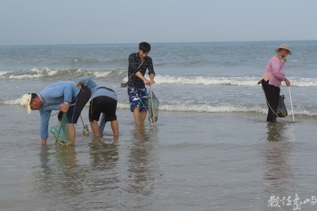 20160603浯島全民刮蛤運動拍拍（后湖海岸線）