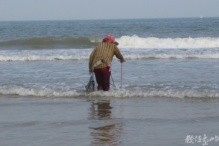 20160603浯島全民刮蛤運動拍拍（后湖海岸線）