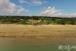 日頭諾是水 青菜拍拍也是蓋美麗