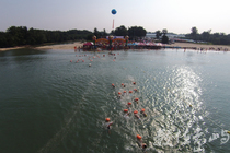 2016搶灘料羅灣--第14屆金門海上長泳