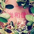 尚和佳手工窯烤披薩