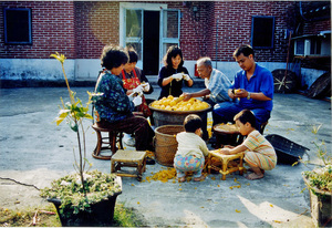 ﹤柿餅世家 ﹥圖、文-C.Y.Hsiao 1998.11. 新埔CC│BY-NC-SA.jpg