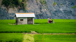 農村閒情