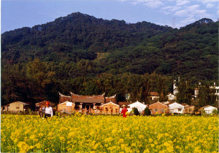 「生活風景」比賽照片