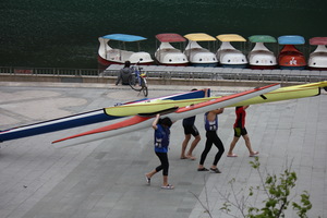 要怎麼收穫先那麼栽