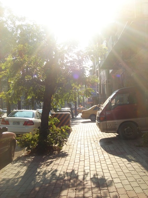 Springing in spring sun