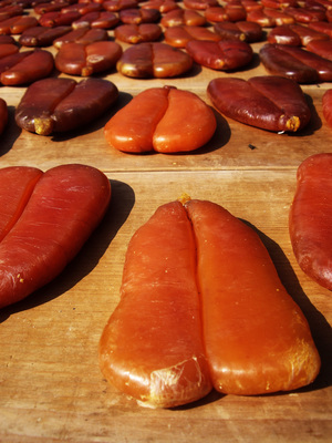 在空氣中  悠游