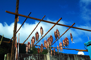 再現美麗島2007年數位�