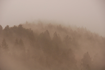 山境、山靜、山淨