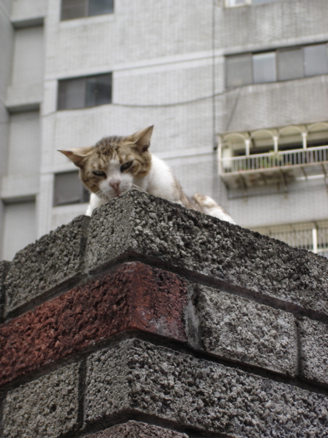 街景