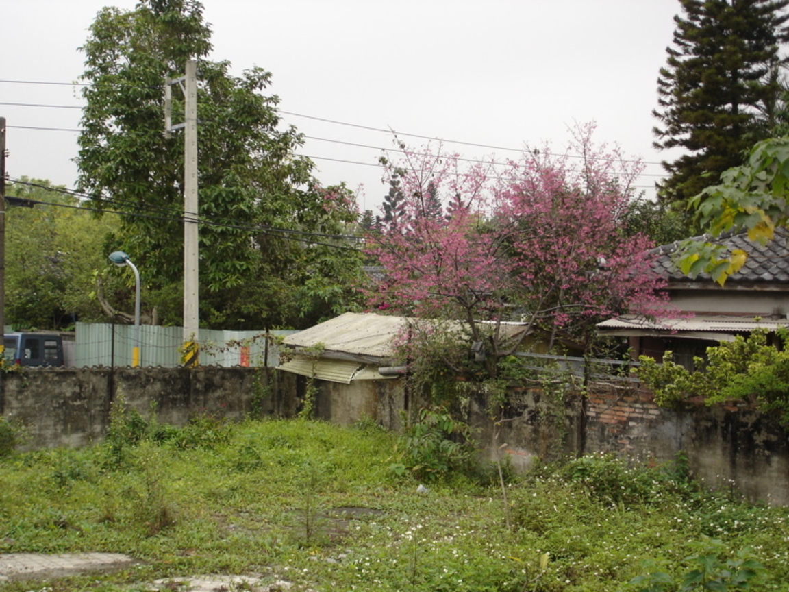 街景