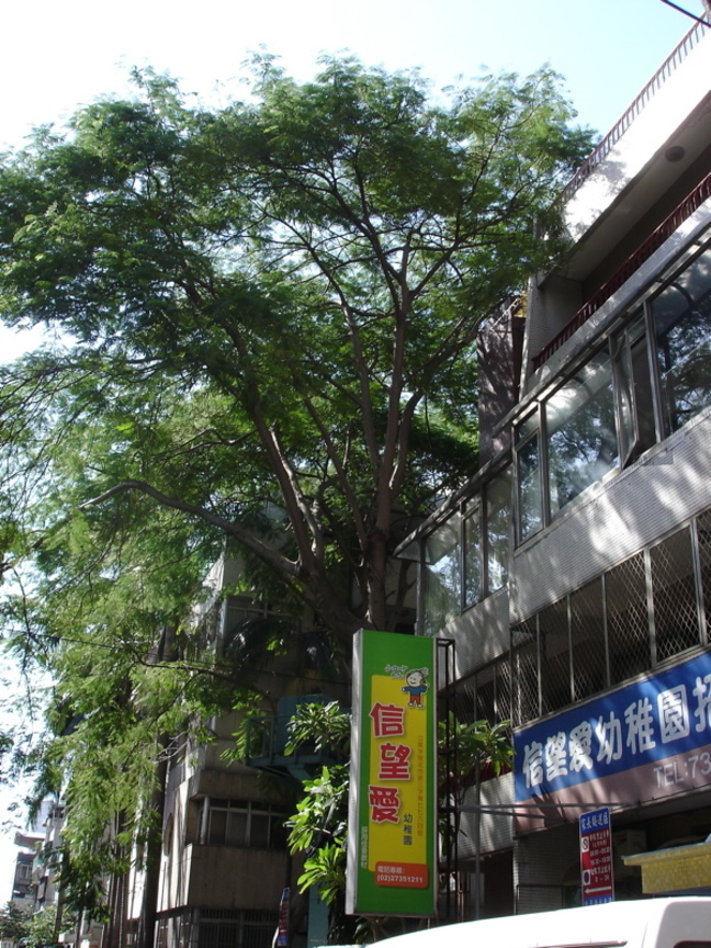 街景