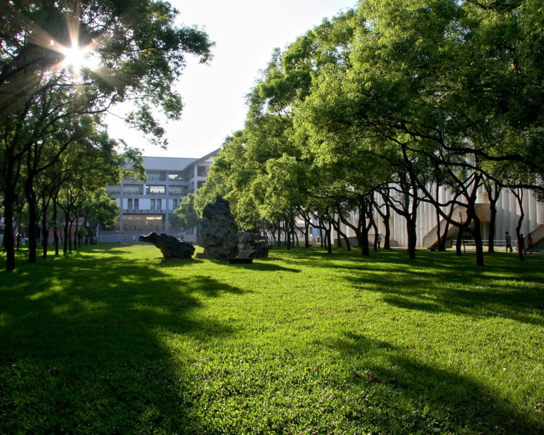 思恩園樹已成群