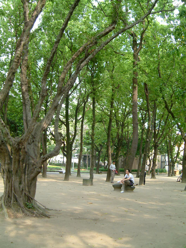 228公園─悠閒午後