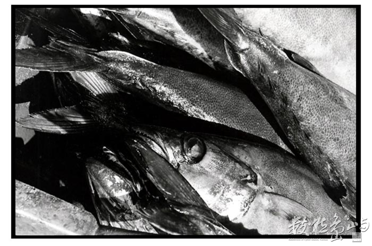 魚堆