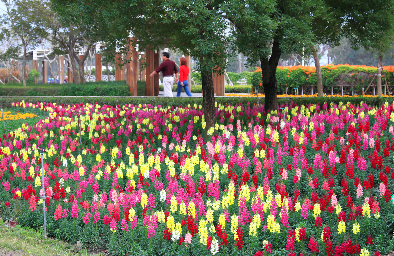 彰化縣溪州鄉－溪州公園