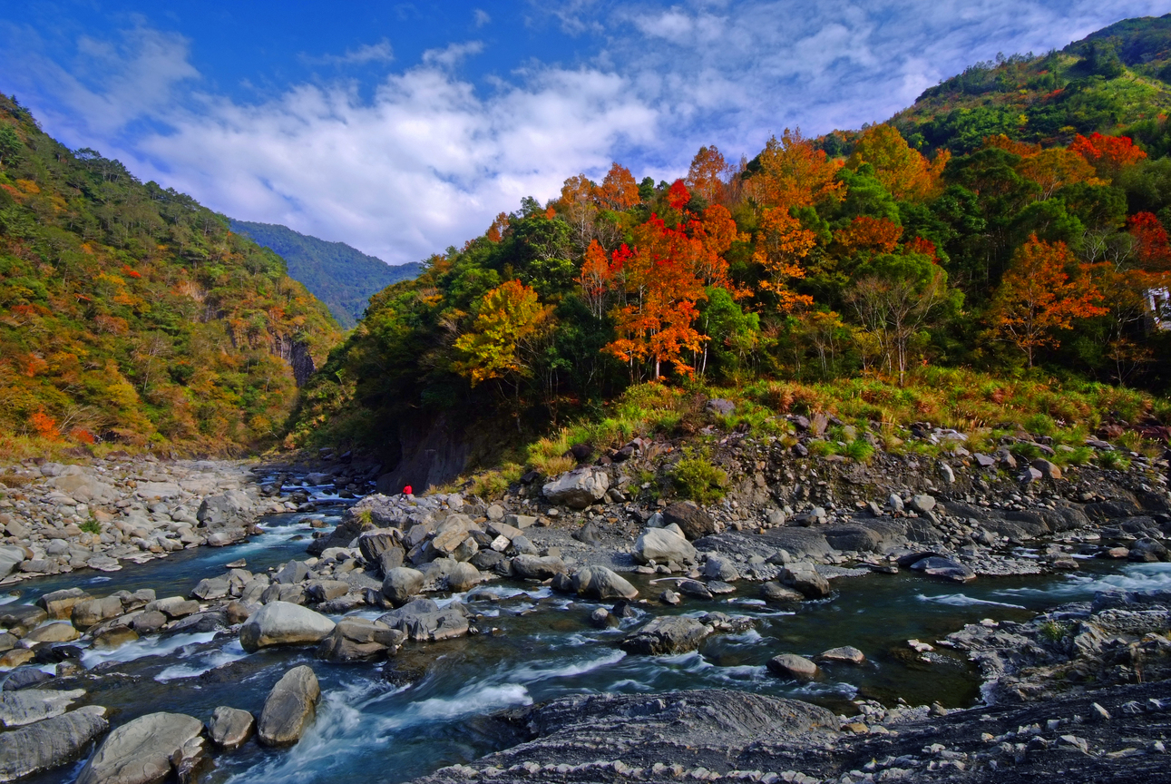 塔克金溪流水楓紅之美