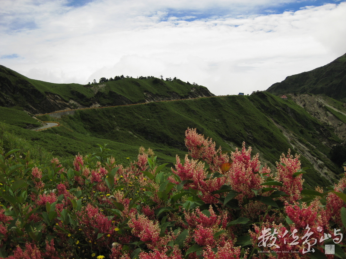 登合歡山主峰1