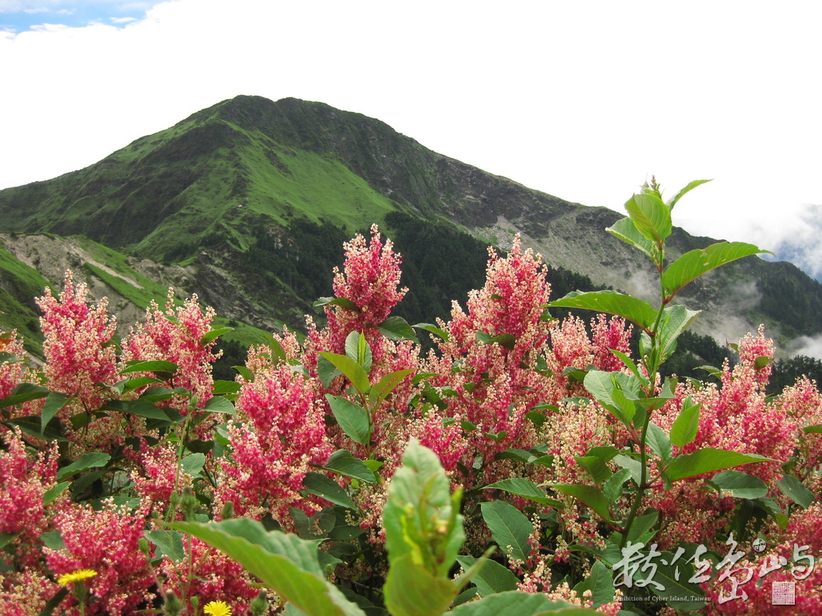 登合歡山主峰2