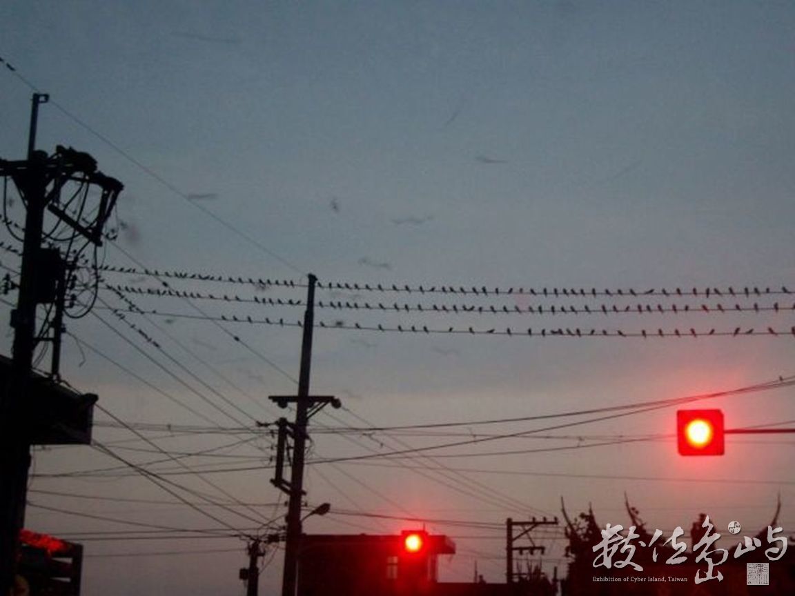 雲林縣口湖鄉－燕子停