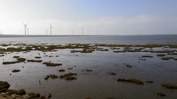 美麗的高美濕地