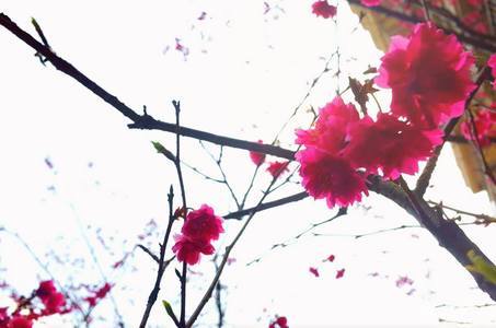 到處拍