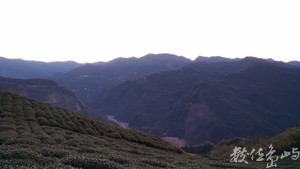 等待只為了那一刻